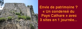 Envie de patrimoine et du ch�teau de Termes