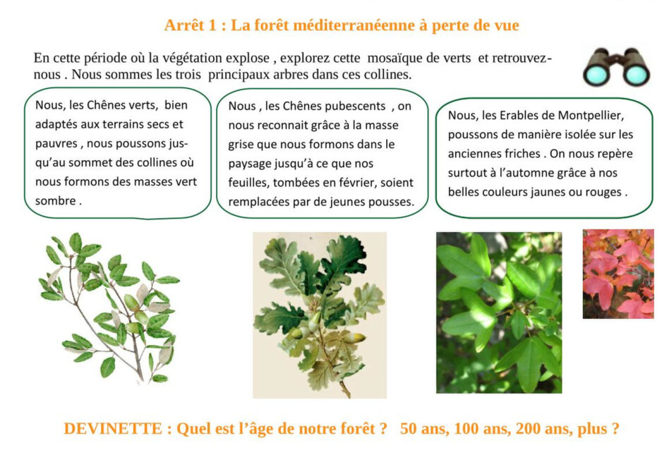 Carnet Nature Printemps