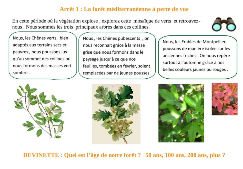 Carnet Nature Printemps