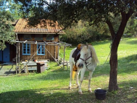 Prat dal Roussi, Termes Balades à Cheval dans les Corbières, Termes